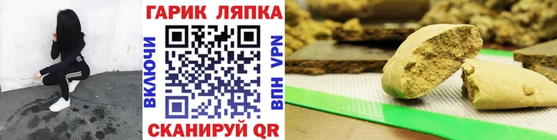 Купить закладки  Эртиль  Гашиш Изолятор 