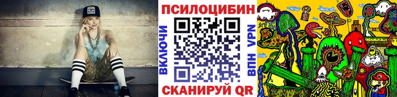 Купить закладки  Эртиль  Псилоцибиновые грибы MAGIC MUSHROOMS 