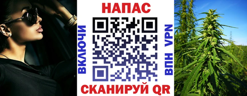 Купить  Эртиль  Бошки Шишки сатива 